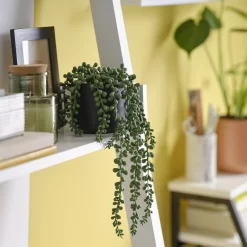 12cm String Of Pearls Artificial Plant In Black Ceramic Pot -Garden Shop 12cm string of pearls artificial plant in black ceramic pot5010795682591 01i