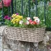 Smart Garden Bari Faux Rattan Planter, 19in - Sand