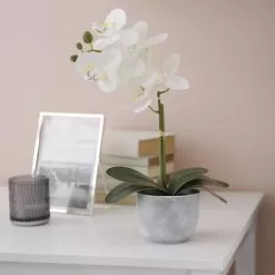25cm White Orchid Artificial Plant In Grey Ceramic Pot -Garden Shop 25cm white orchid artificial plant in grey ceramic pot5010795682669 01i