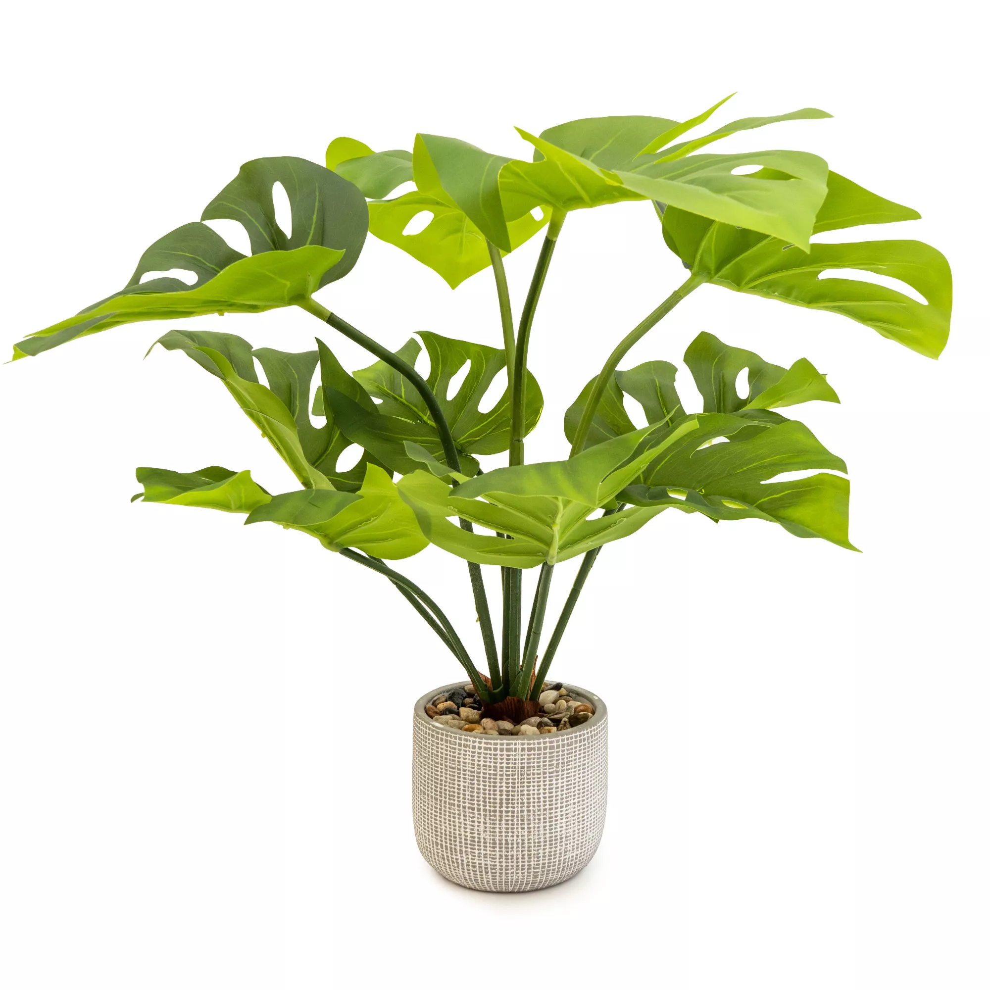 50cm Cheese Plant Artificial Plant In Grey Ceramic Pot 1 50cm Cheese Plant Artificial Plant In Grey Ceramic Pot