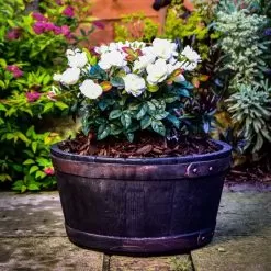 Strata Oakwood Barrel Planter - 50cm