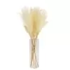 64cm White Pampas Grass Artificial Plant In Clear Glass Vase