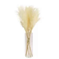 64cm White Pampas Grass Artificial Plant In Clear Glass Vase