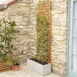 6ft Pine Trellis Panel (W)122cm X (H)183cm -Garden Shop 6ft pine trellis panel w 122cm x h 183cm3663602430636 04bq