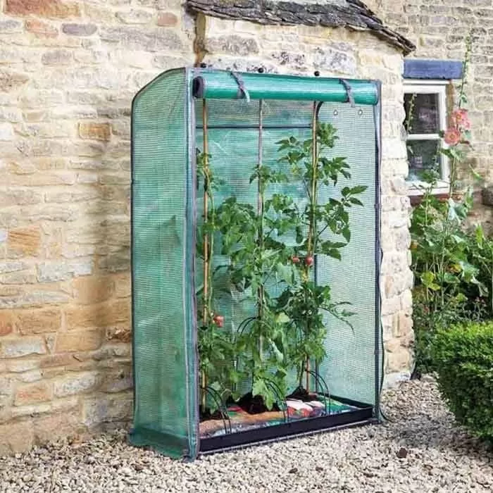 Smart Garden Tomato Gro-Zone Growhouse 10 Smart Garden Tomato Gro-Zone Growhouse - Image 10
