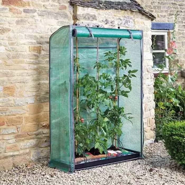 Smart Garden Tomato Gro-Zone Growhouse 1 Smart Garden Tomato Gro-Zone Growhouse