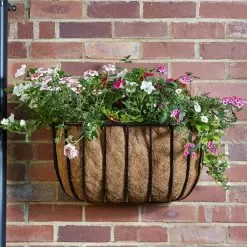 Smart Garden Forge Wall Manger – 20in