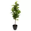 80cm Peperomia Artificial Plant In Black Ribbed Pot