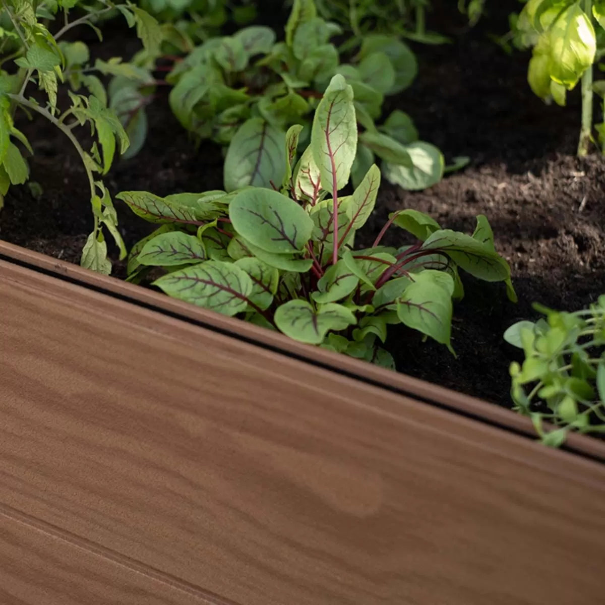 Stewart Garden Square Maple Bed – Maple Brown 2 Stewart Garden Square Maple Bed – Maple Brown - Image 2