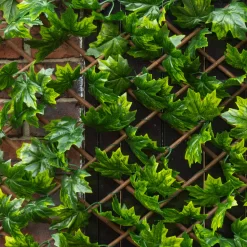 Apollo Maple Leaf Willow Trellis Panel (W)200cm X (H)100cm 5 Apollo Maple Leaf Willow Trellis Panel (W)200cm X (H)100cm -Garden Shop apollo maple leaf willow trellis panel w 200cm x h 100cm5037653779309 02i bq