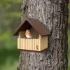 Panacea Robin Nest Box