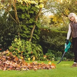 Bosch Power For All Cordless 18V ALB 18 LI Garden Blower -Garden Shop bosch power for all cordless 18v alb 18 li garden blower3165140843232 03bq