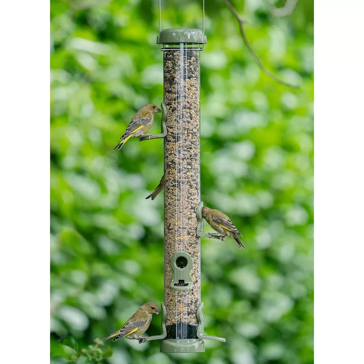 Jacobi Jayne Flo Lifetime 6 Port Seed Feeder, Green - Large 3 Jacobi Jayne Flo Lifetime 6 Port Seed Feeder, Green - Large - Image 3