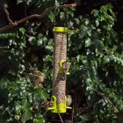 Jacobi Jayne Medium Flo Seed Feeder, 4 Port – Lime Green -Garden Shop flo seed feeder green four port 2