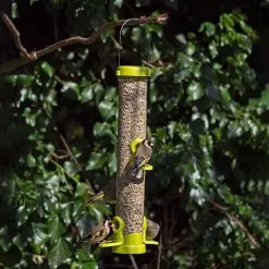 Jacobi Jayne Medium Flo Seed Feeder, 4 Port – Lime Green -Garden Shop flo seed feeder green four port 3