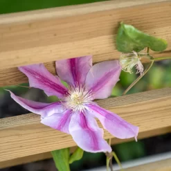 Forest Garden Living Screen Natural Timber Rectangular Planter (H) 180cm X (W) 90cm 8 Forest Garden Living Screen Natural Timber Rectangular Planter (H) 180cm X (W) 90cm -Garden Shop forest garden living screen natural timber rectangular planter h 180cm x w 90cm5013053190227 02i