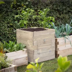 Forest Garden Potato Natural Timber Square Planter (H) 69.5cm X (W) 60cm -Garden Shop forest garden potato natural timber square planter h 69 5cm x w 60cm5013053190449 01i