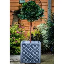 Strata Lazio Square Planter - 38cm