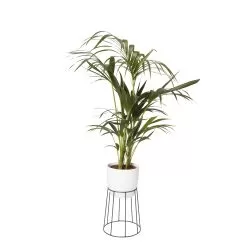 GoodHome Metal Pot Stand 6 GoodHome Metal Pot Stand -Garden Shop goodhome metal pot stand3663602442387 21c bq