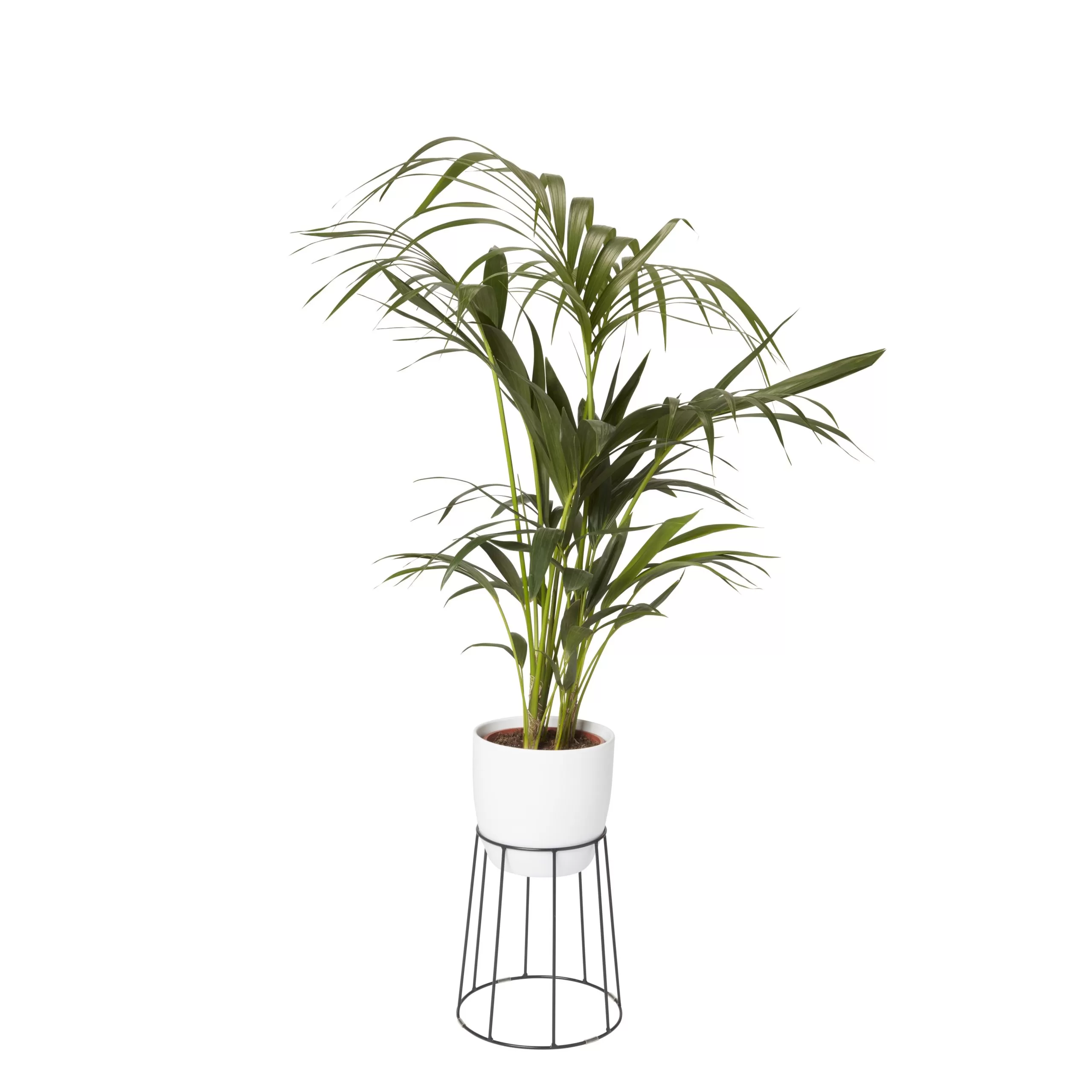 GoodHome Metal Pot Stand 3 GoodHome Metal Pot Stand - Image 3