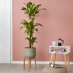 GoodHome Natural Wood Plant Pot (Dia)33.5cm -Garden Shop goodhome natural wood plant pot dia 33 5cm3663602442370 01i bq