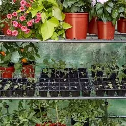 Smart Garden Gro-Zone Max Shelved Growhouse -Garden Shop gro zone max 2