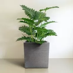 Tierra Verde Citadelle Horizon Planter, 36cm - Steel Grey -Garden Shop horizon citadelle pltr 36cm grey 1 1