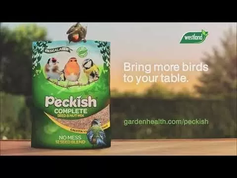 Peckish Globe Window Bird Feeder 4 Peckish Globe Window Bird Feeder - Image 4