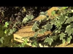 Zest Outdoor Living Deep Root Planter - 1.8m -Garden Shop hqdefault 14 33