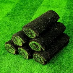 Lawn Turf, 33m² Pack -Garden Shop lawn turf 33m pack3663602195085 04i