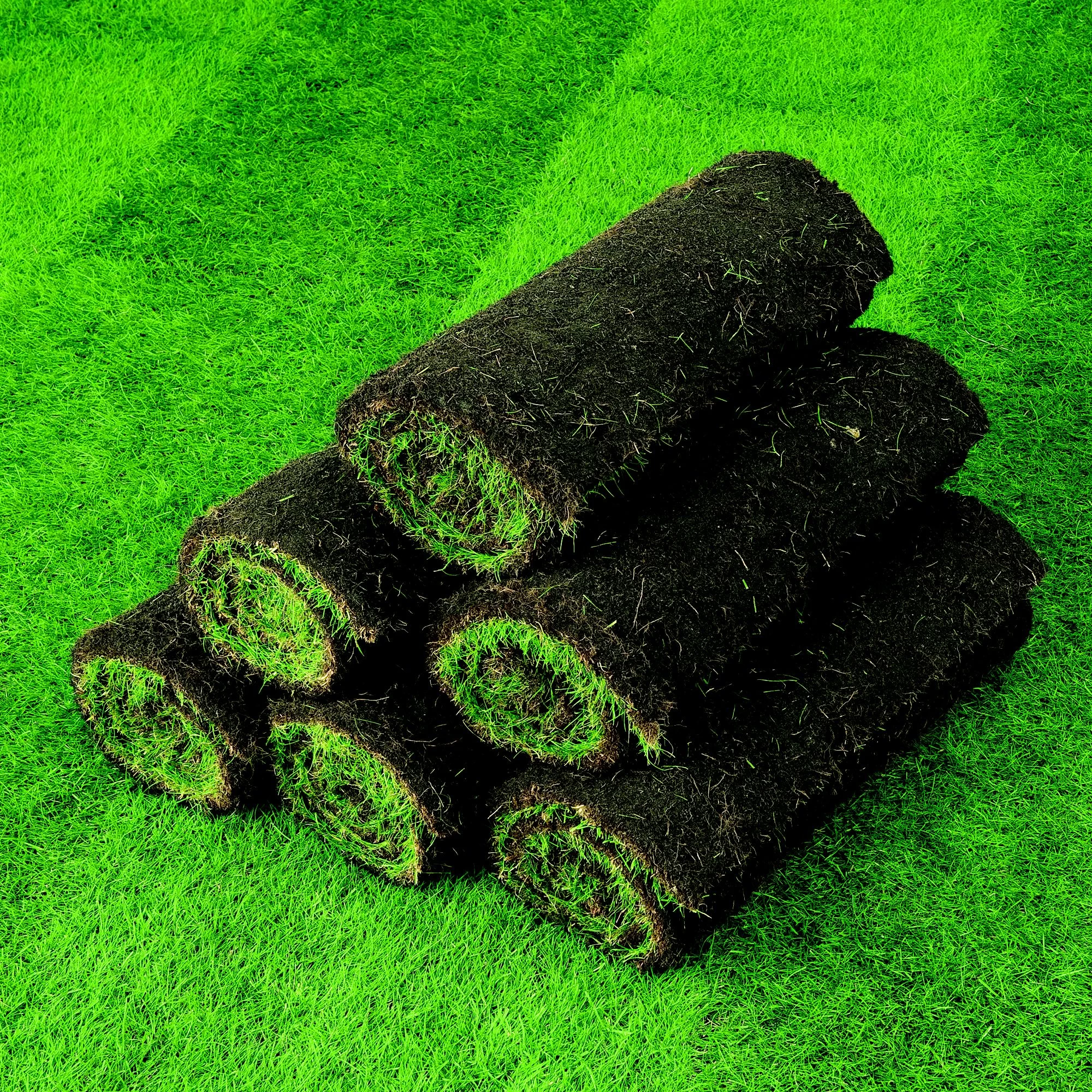 Lawn Turf, 50m² Pack 6 Lawn Turf, 50m² Pack - Image 6