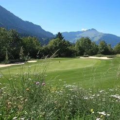 Meadowmat Wildflower Turf, 20m² Pack 12 Meadowmat Wildflower Turf, 20m² Pack -Garden Shop meadowmat wildflower turf 20m pack04168157 04i bq