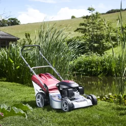 Mountfield SP53H 167cc Petrol Rotary Lawnmower -Garden Shop mountfield sp53h 167cc petrol rotary lawnmower8008984817999 01i bq