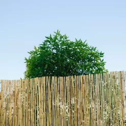 Natural Reed Garden Screen (H)1.8m (W)3m -Garden Shop natural reed garden screen h 1 8m w 3m3663602428060 01i