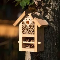 Jacobi Jayne Nooks And Crannies Insect House