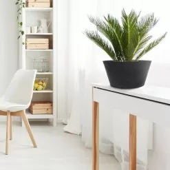 Tierra Verde Octavia Planter, 15cm - Slate 8 Tierra Verde Octavia Planter, 15cm - Slate -Garden Shop octavia planter 15cm slate