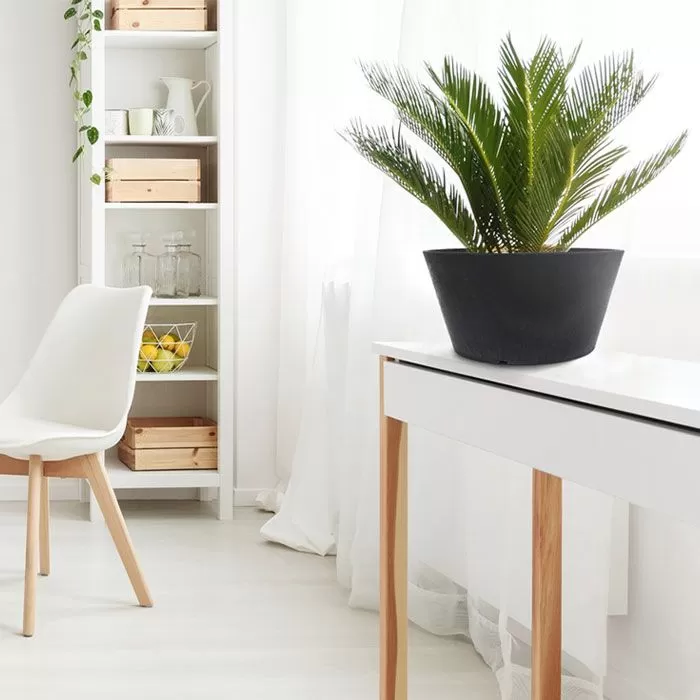 Tierra Verde Octavia Planter, 15cm - Slate 4 Tierra Verde Octavia Planter, 15cm - Slate - Image 4