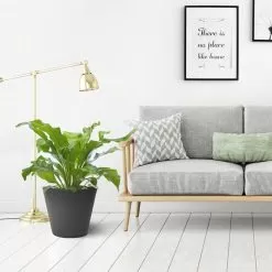 Tierra Verde Octavia Planter, 28cm - Slate -Garden Shop octavia planter 28cm slate 3