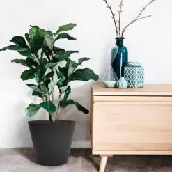 Tierra Verde Octavia Planter, 38cm - Slate -Garden Shop octavia planter 38cm slate 3