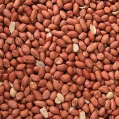 Johnston & Jeff Wild Bird Peanuts - 20kg -Garden Shop peanuts 1 2