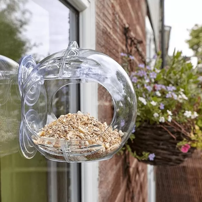Peckish Globe Window Bird Feeder 5 Peckish Globe Window Bird Feeder - Image 5