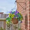 Smart Garden Pansy Pourri Regal Hanging Basket - 18in
