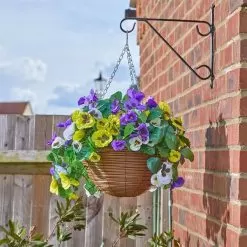 Smart Garden Pansy Pourri Regal Hanging Basket - 18in
