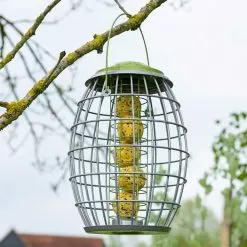 Chapel Wood Ultra Squirrel Proof Suet Ball Feeder