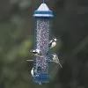 Jacobi Jayne Squirrel Buster Seed Feeder - Classic