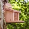 Wildlife World Squirrel Feeder