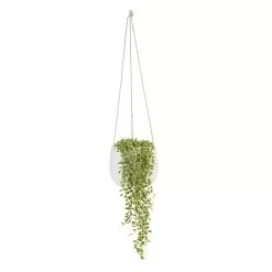 String Of Beads In 13cm White Ceramic Hanging Pot
