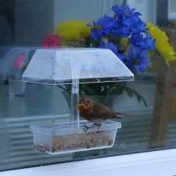 Jacobi Jayne Up Close Window Feeder – Clear -Garden Shop up close window feeder 1 1