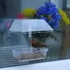 Jacobi Jayne Up Close Window Feeder – Clear