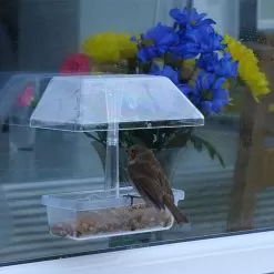 Jacobi Jayne Up Close Window Feeder – Clear -Garden Shop up close window feeder 3